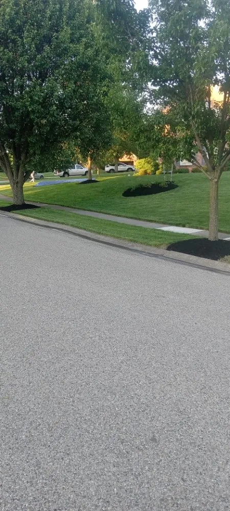Local yard cleanup service near you across West Chester Township, OH - Bob's Landscaping