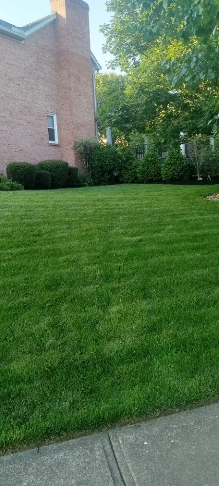 Trusted yard cleanup service in West Chester Township, OH by Bob's Landscaping