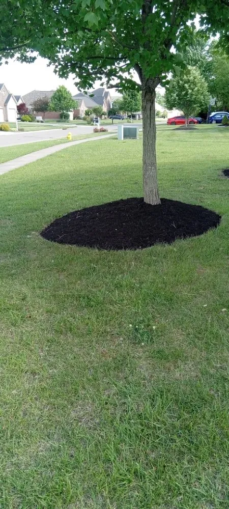 Professional residential landscaping for year-round maintenance across West Chester Township, OH - Bob's Landscaping