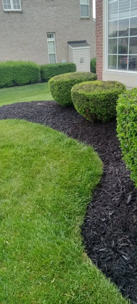 Expert yard maintenance in West Chester Township, OH - Bob's Landscaping