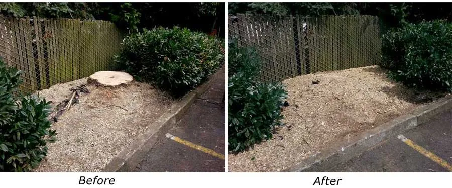 Professional lawn care service near you across Dunnellon, FL - Bob's Lawn Care