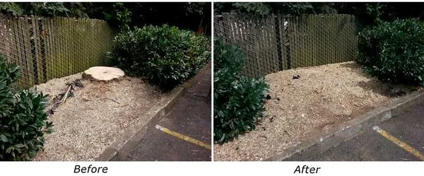 Bob's Lawn Care Logo