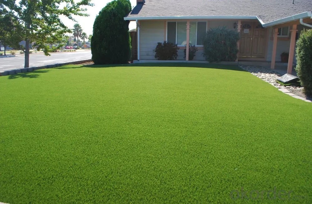 Trusted lawn care service in Kansas City, MO - Bob's Lawn Care