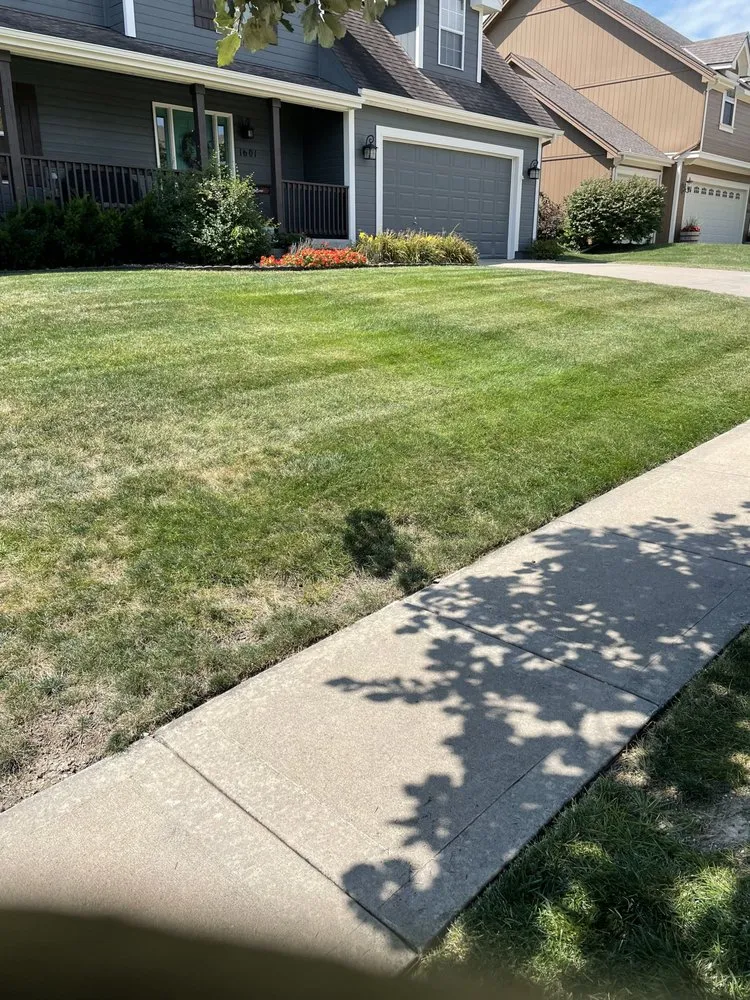 Top-rated yard cleanup service in Kansas City, MO by Bob's Lawn Care