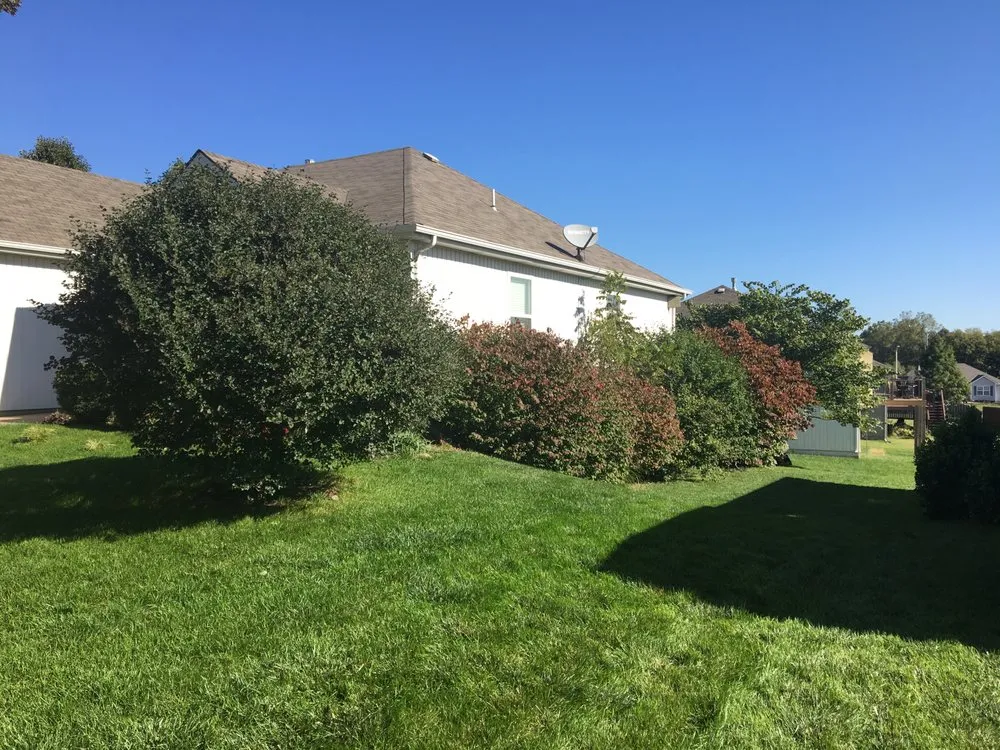 Trusted landscape installation experts serving Kansas City, MO - Bob's Lawn Care