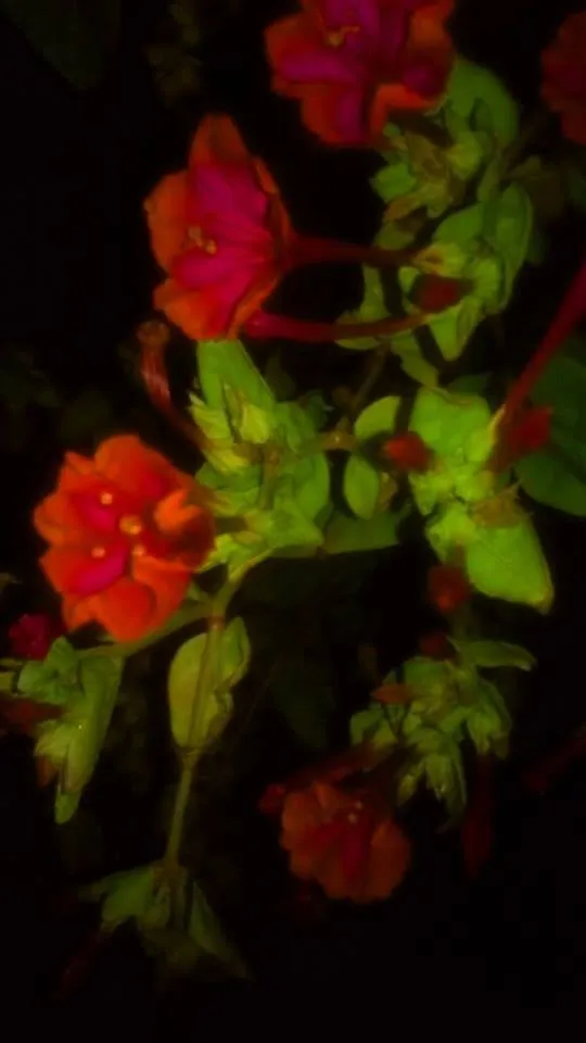 Affordable lawn care service experts serving Uncasville, CT - Bob'S Septic Tank Cleaning & Excavating