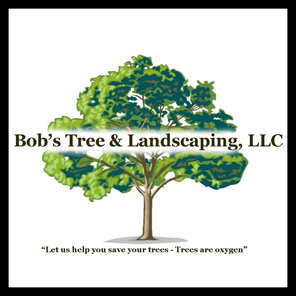 Reliable yard cleanup service experts serving Midlothian, VA - Bob's Tree & Landscaping