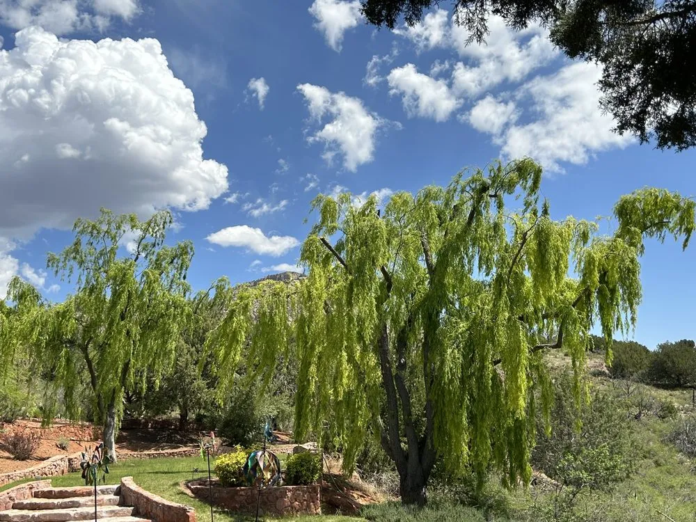Trusted lawn mowing service experts serving Camp Verde, AZ - Bob's Tree and Landscaping
