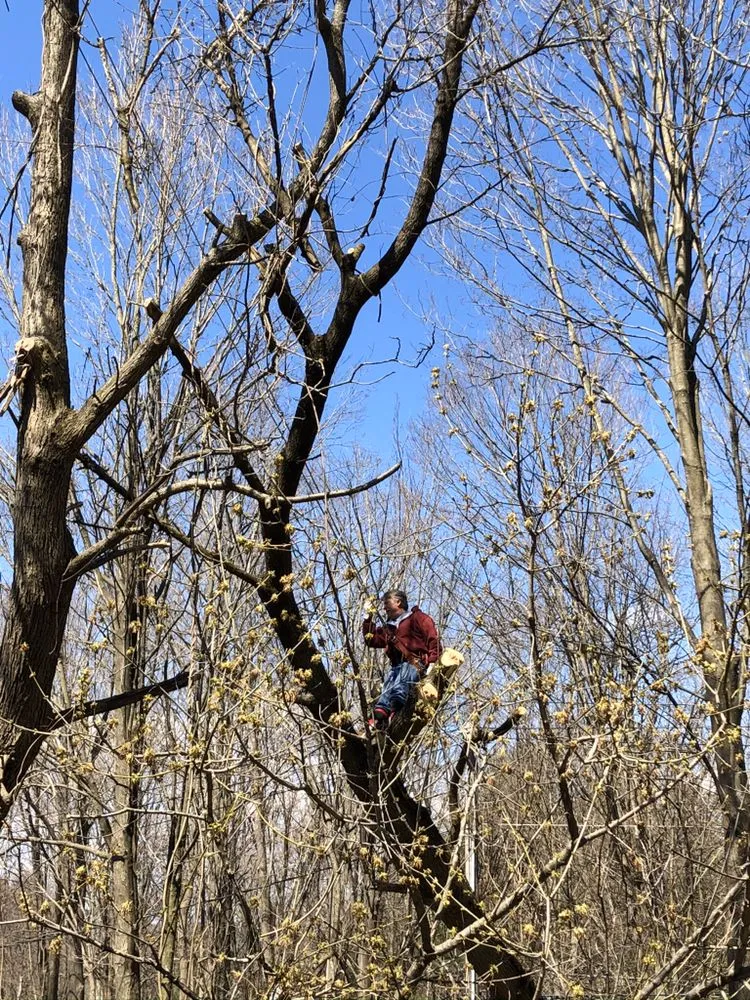 Affordable landscape design experts serving Brookfield, CT - Bob's Tree Service