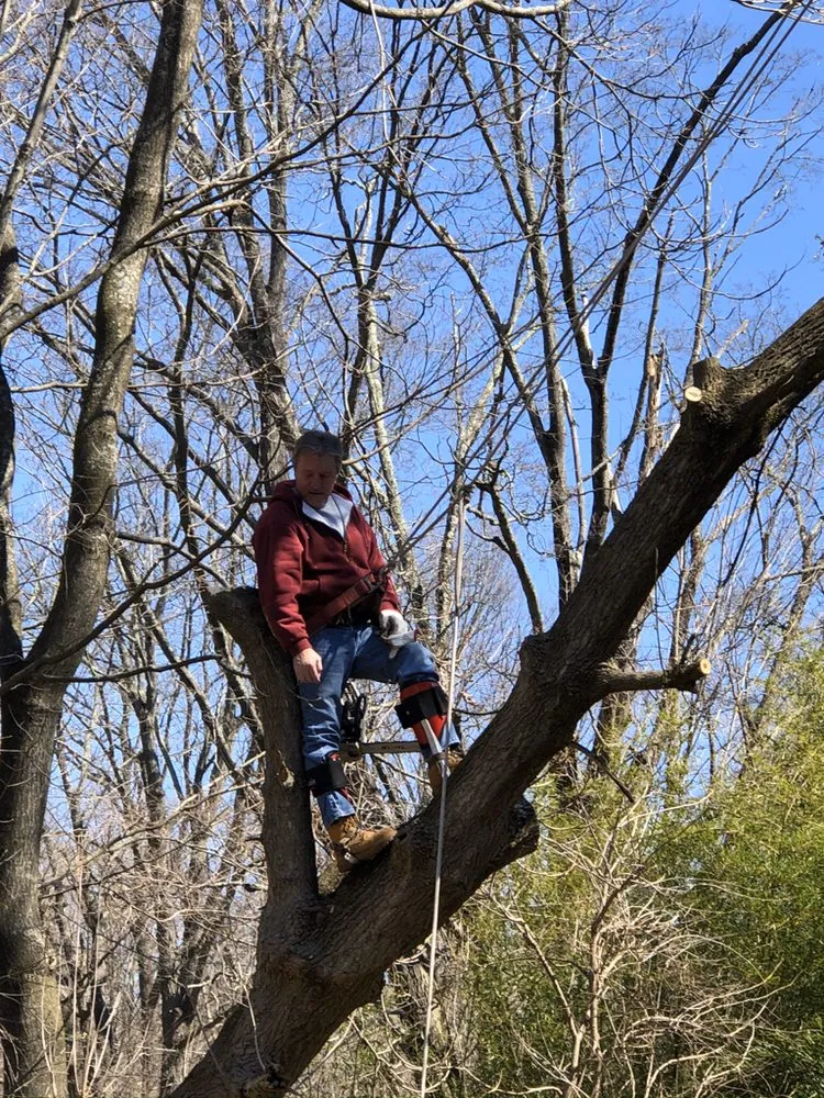 Reliable garden landscaping for residential properties across Brookfield, CT - Bob's Tree Service