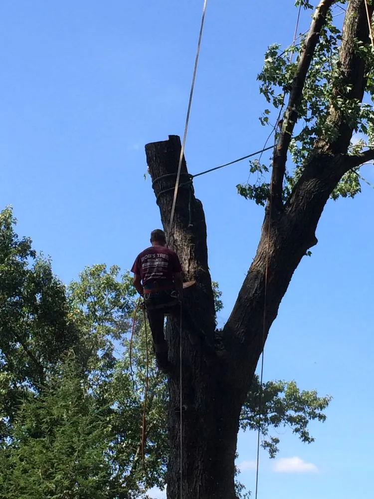 Reliable garden landscaping experts serving Brookfield, CT - Bob's Tree Service