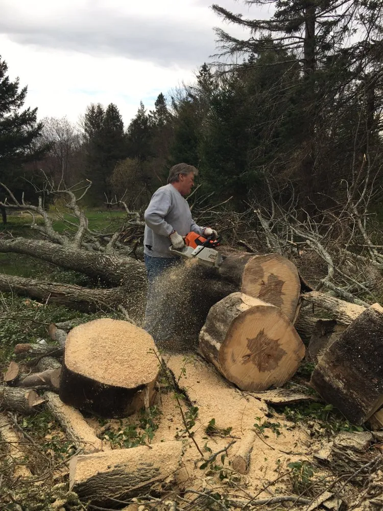 Expert lawn mowing service for year-round maintenance in Brookfield, CT by Bob's Tree Service