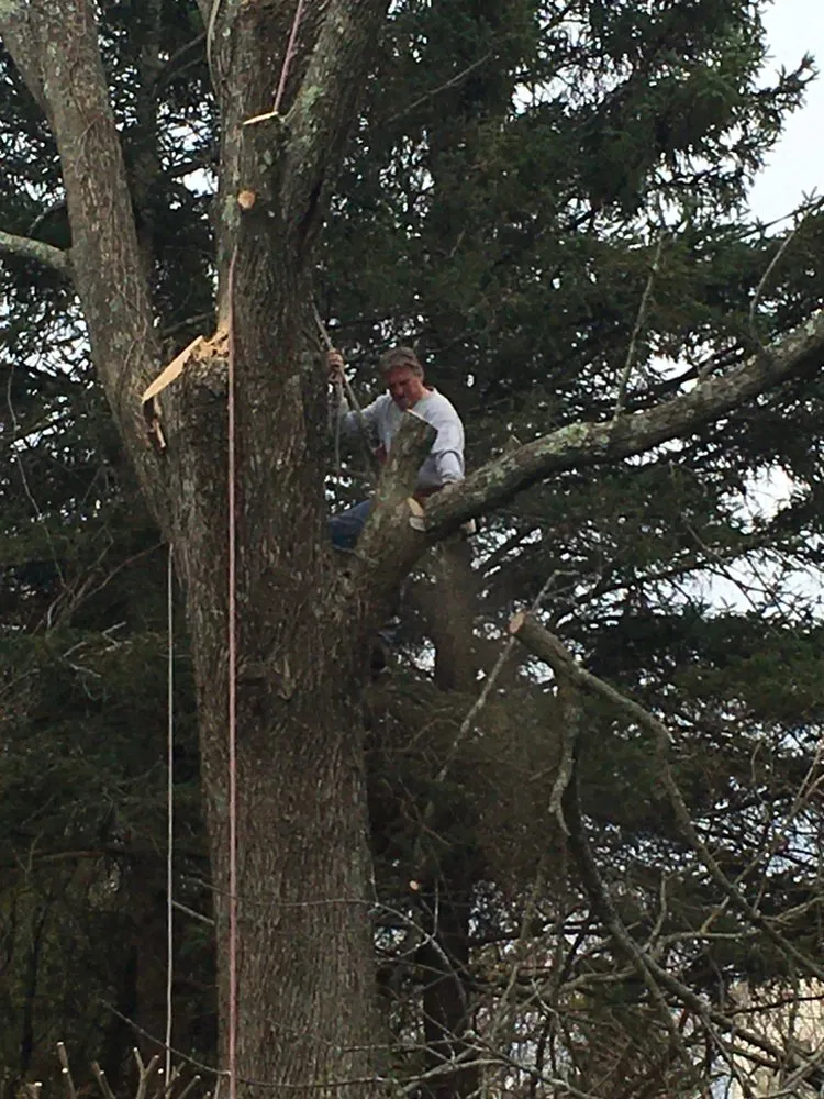 Custom landscape installation experts serving Brookfield, CT - Bob's Tree Service