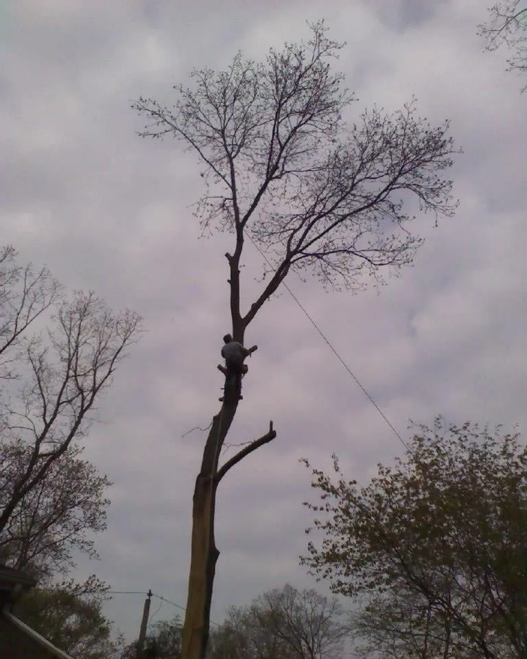 Expert residential landscaping in Brookfield, CT - Bob's Tree Service