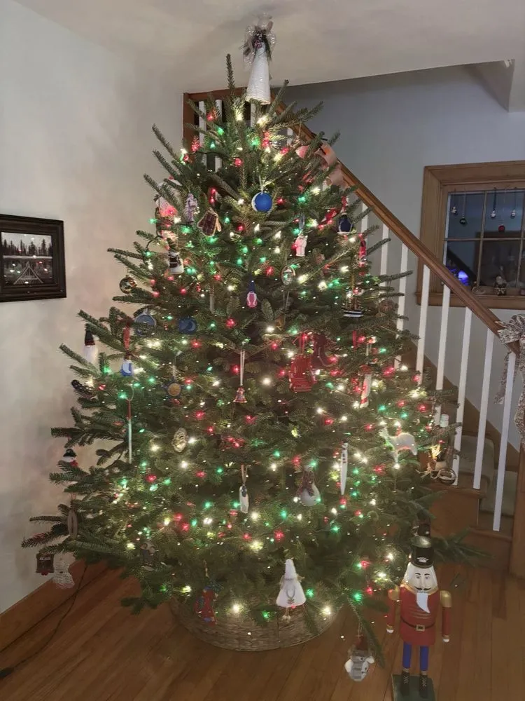 Professional landscaping services with custom design in Hagaman, NY by Bob's Trees