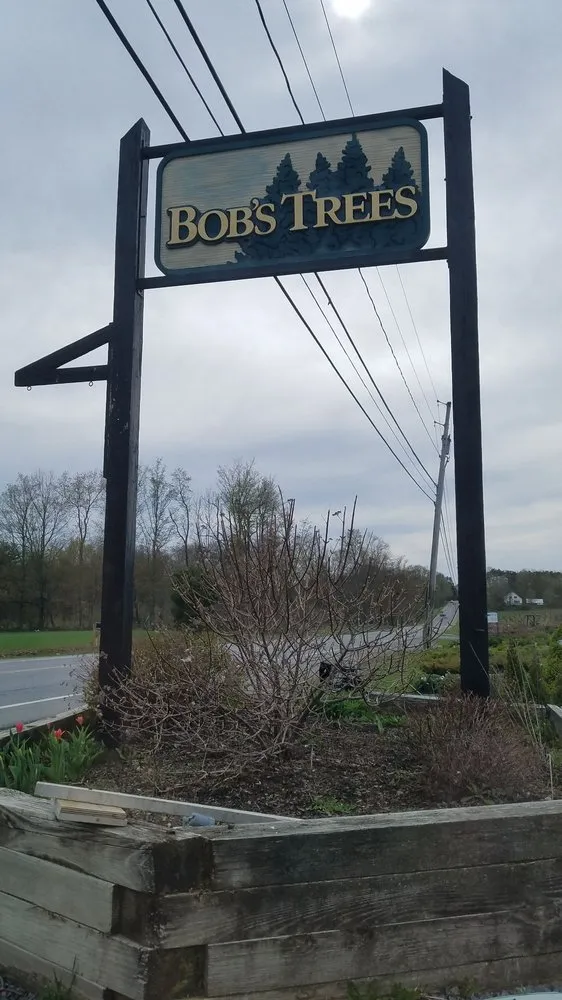 Reliable lawn mowing service near you across Hagaman, NY - Bob's Trees