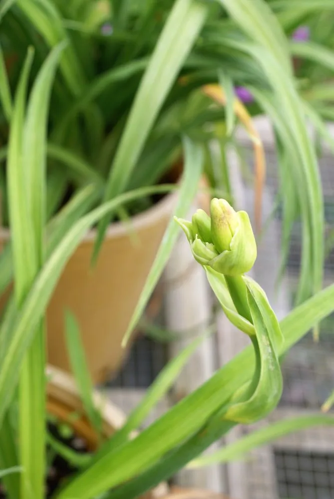 Expert landscaping services experts serving Hagaman, NY - Bob's Trees