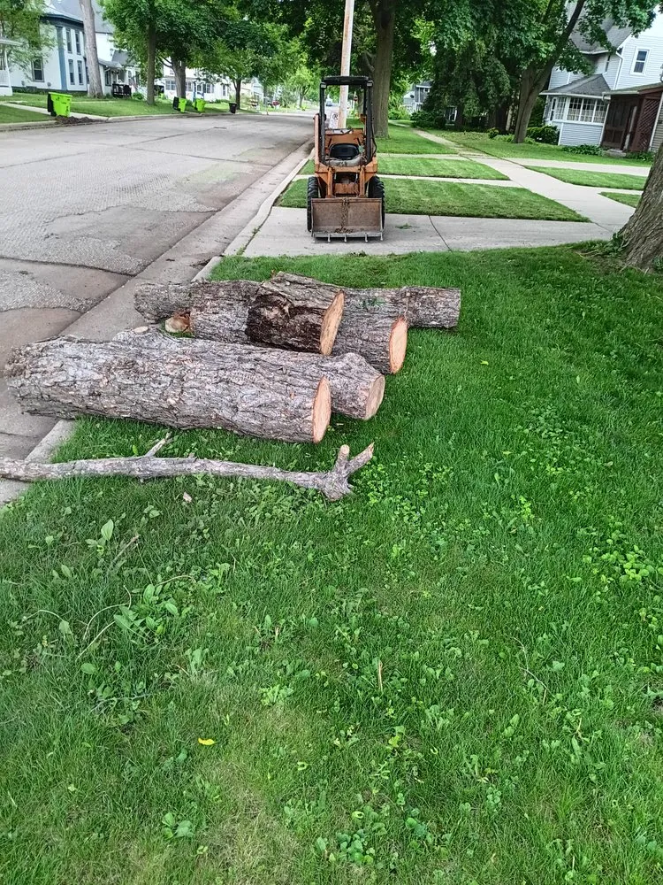 Expert yard cleanup service in Delavan, WI by Bob's Trucking and Landscaping