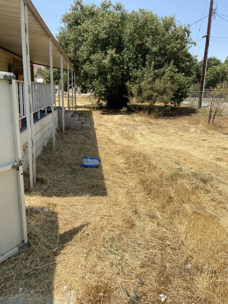 Professional lawn mowing service in Hemet, CA - Bobs Weed Abatement Hemet