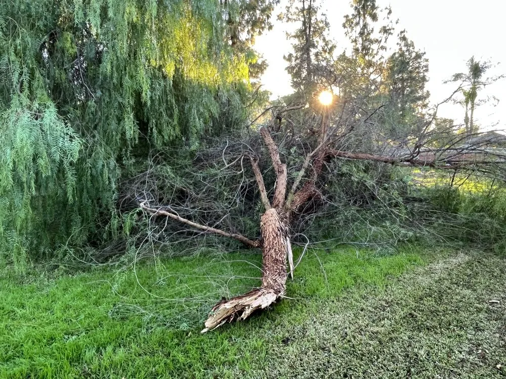 Professional outdoor landscaping in Hemet, CA by Bobs Weed Abatement Hemet
