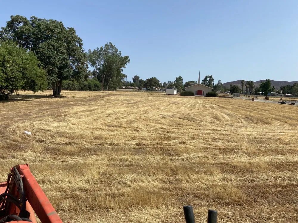 Custom landscape design experts serving Hemet, CA - Bobs Weed Abatement Hemet