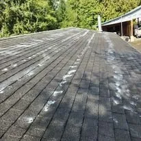 Top-rated landscaping services in Raymond, WA by Bob's Yard Care and Landscaping