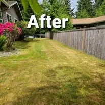 Top-rated residential landscaping for beautiful yards across Raymond, WA - Bob's Yard Care and Landscaping