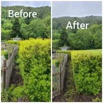 Affordable landscaping services for residential properties across Raymond, WA - Bob's Yard Care and Landscaping