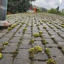 Bob's Yard Care and Landscaping