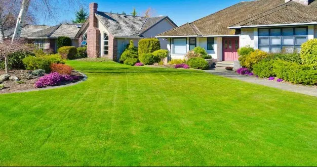 Reliable yard cleanup service for residential properties across Greeley, CO - Bobs Yard Pickup