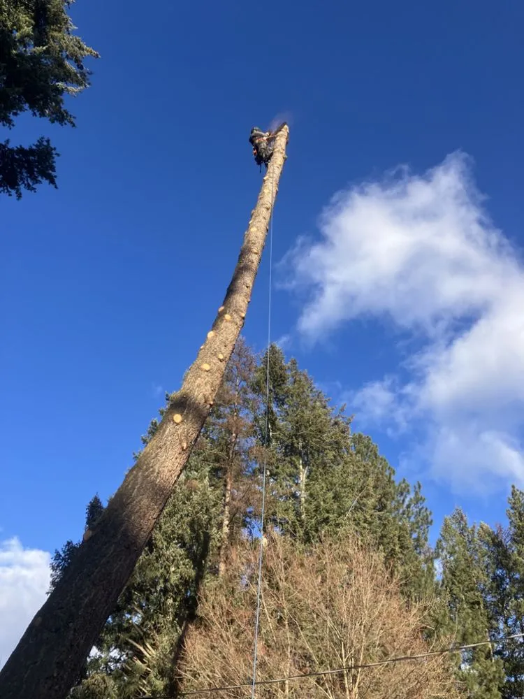 Expert residential landscaping for outdoor upgrades in Libby, MT by Bobtail Enterprise