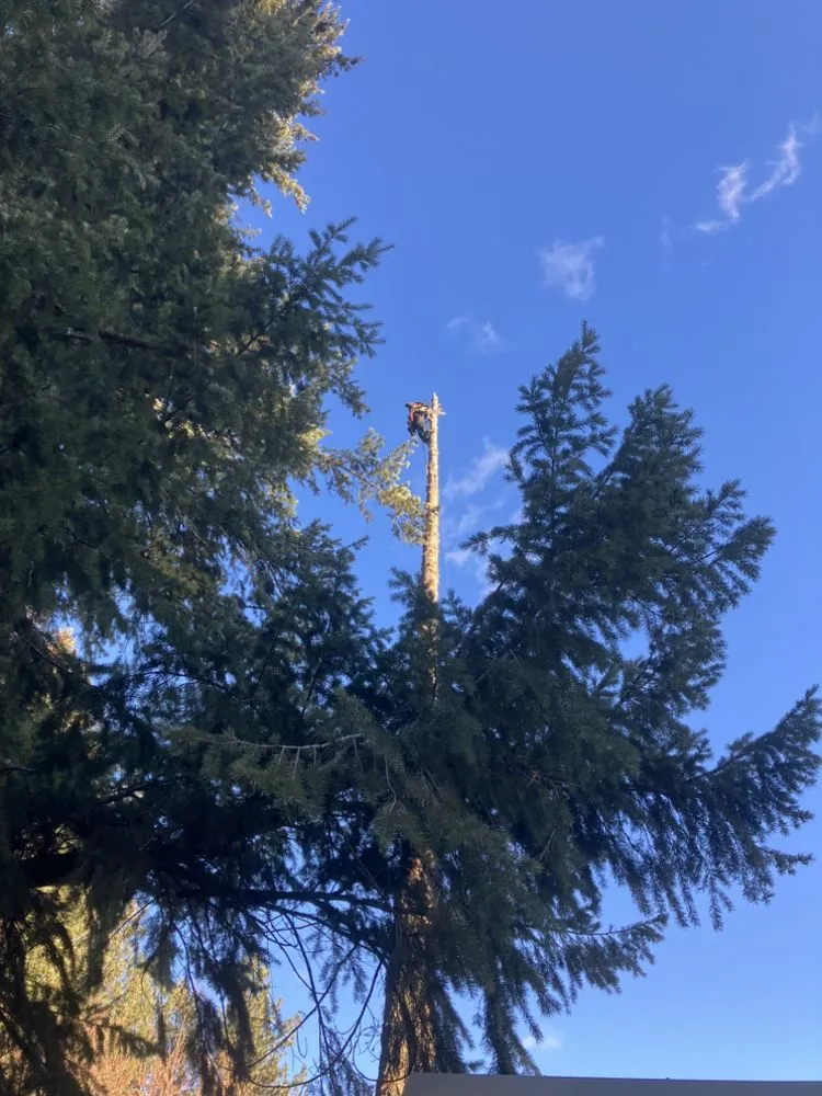 Reliable outdoor landscaping experts serving Libby, MT - Bobtail Enterprise