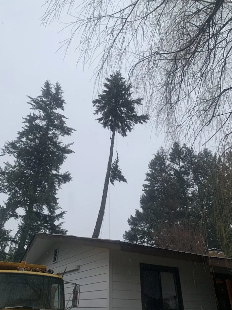 Custom lawn care service experts serving Libby, MT - Bobtail Enterprise