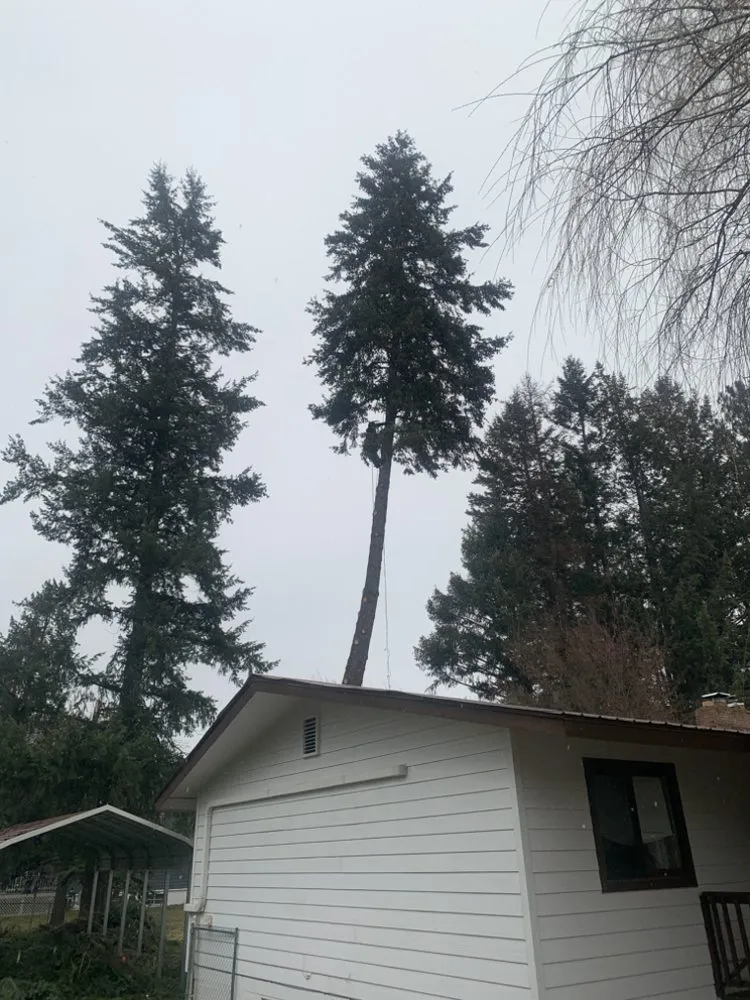 Professional lawn care service in Libby, MT - Bobtail Enterprise