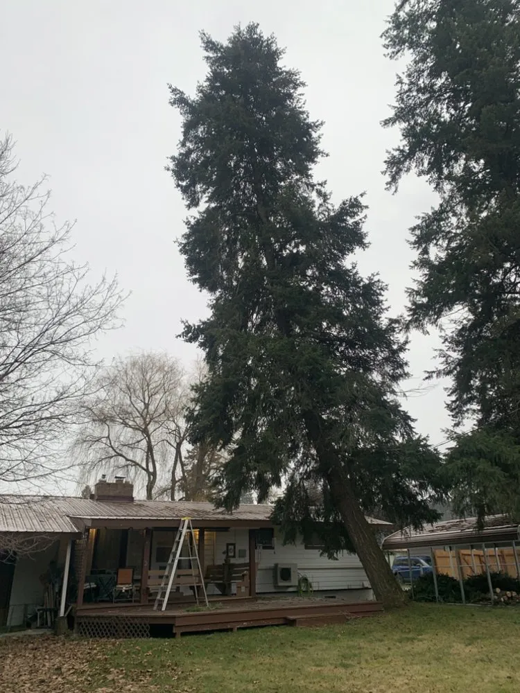 Local landscape installation in Libby, MT - Bobtail Enterprise