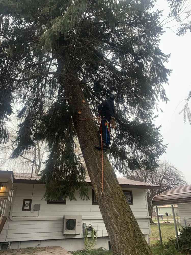 Custom landscape design for year-round maintenance across Libby, MT - Bobtail Enterprise