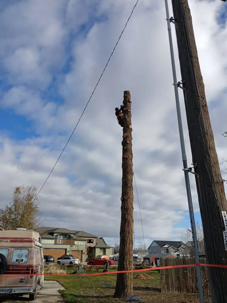 Expert garden landscaping in Libby, MT by Bobtail Enterprise