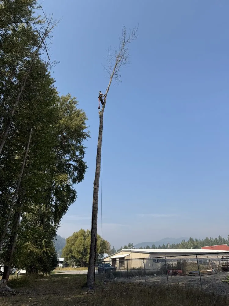 Professional yard maintenance near you across Libby, MT - Bobtail Enterprise