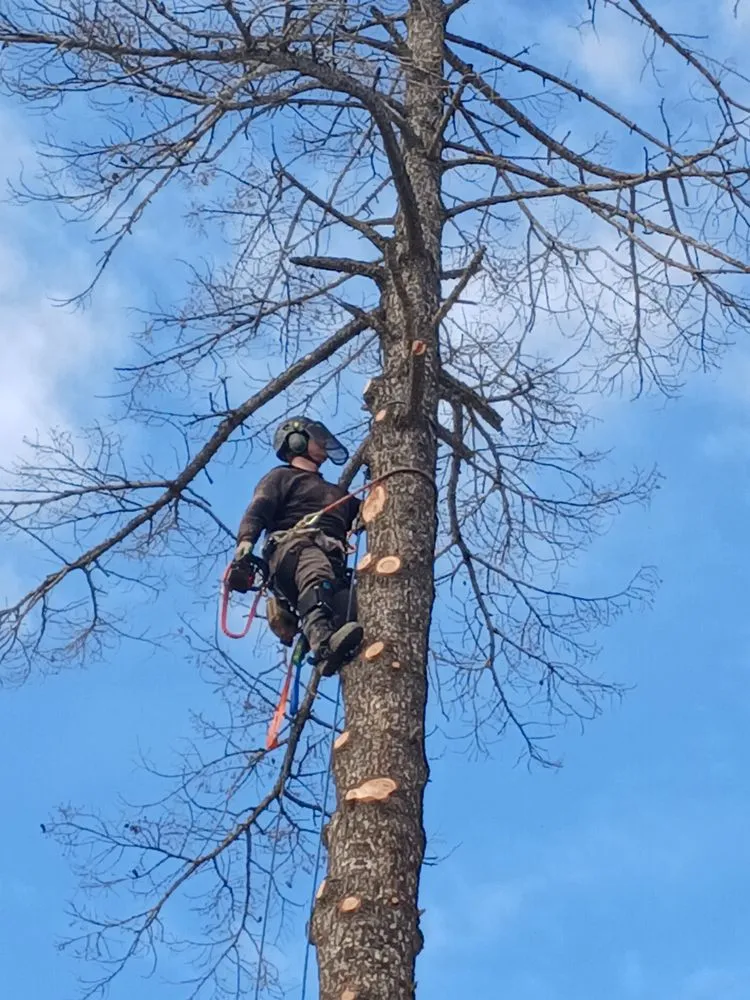 Custom landscape design in Libby, MT by Bobtail Enterprise