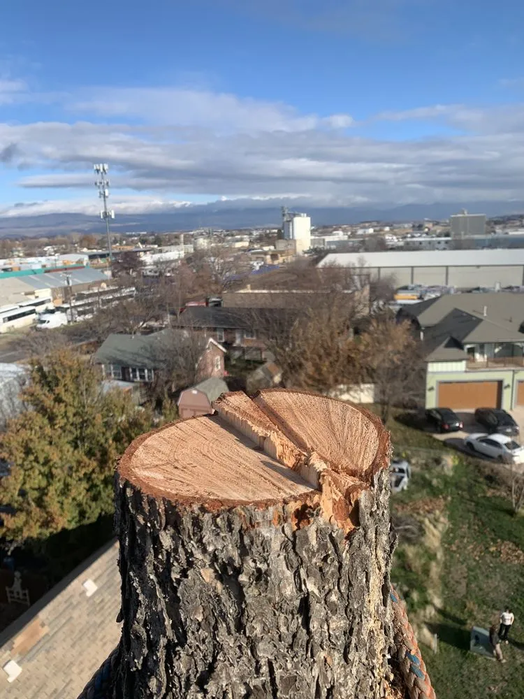 Local lawn care service for year-round maintenance in Libby, MT by Bobtail Enterprise