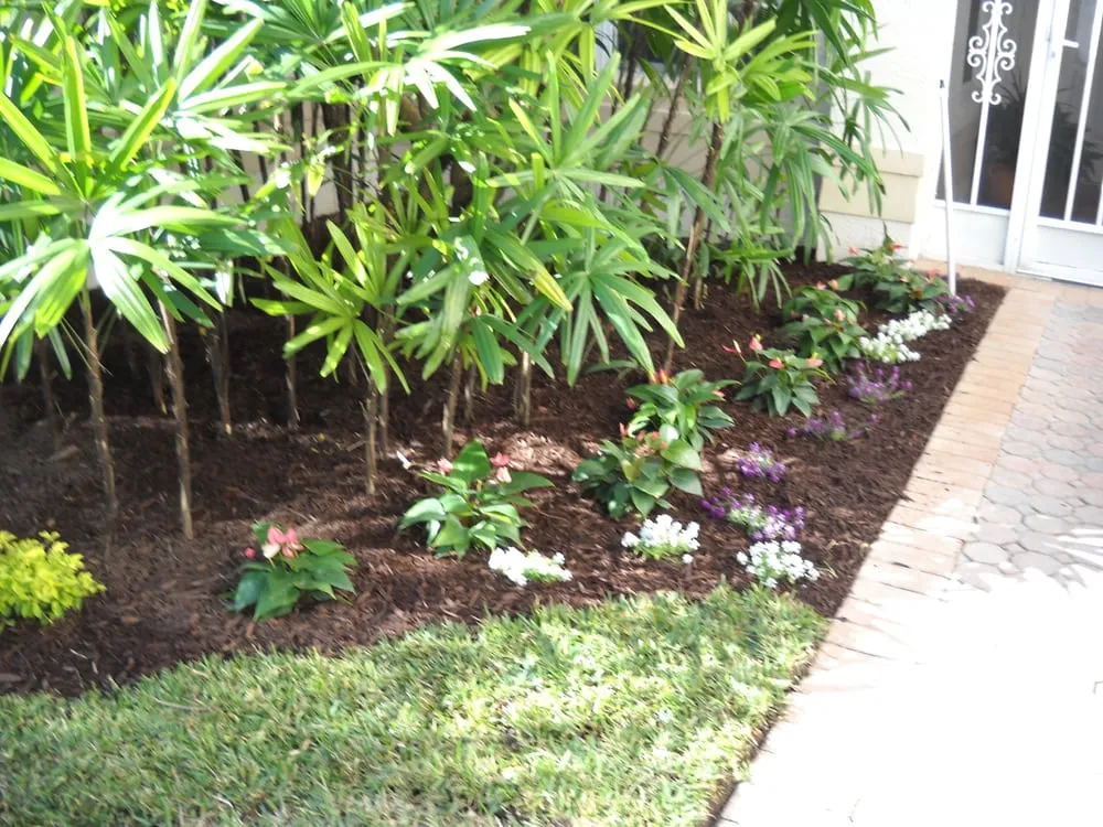 Top-rated outdoor landscaping with custom design across Delray Beach, FL - Boca Delray Plants