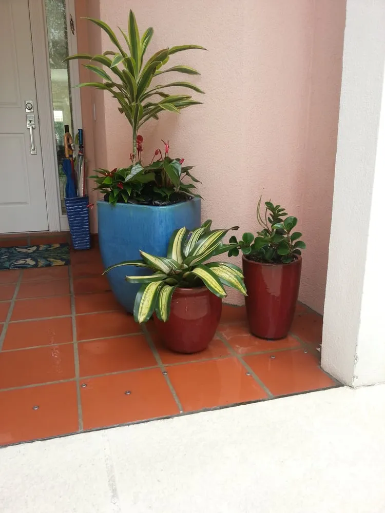 Top-rated lawn care service for residential properties across Delray Beach, FL - Boca Delray Plants