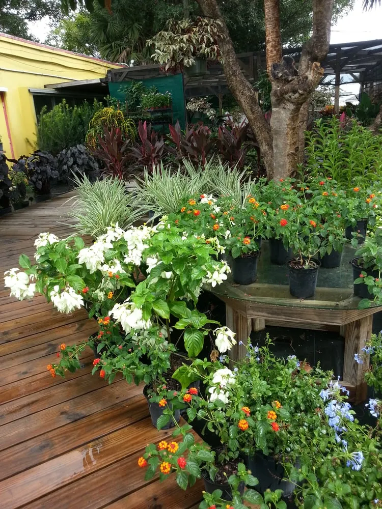 Affordable yard maintenance for year-round maintenance in Delray Beach, FL by Boca Delray Plants