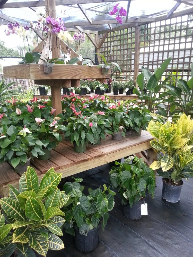 Trusted lawn care service for residential properties across Delray Beach, FL - Boca Delray Plants