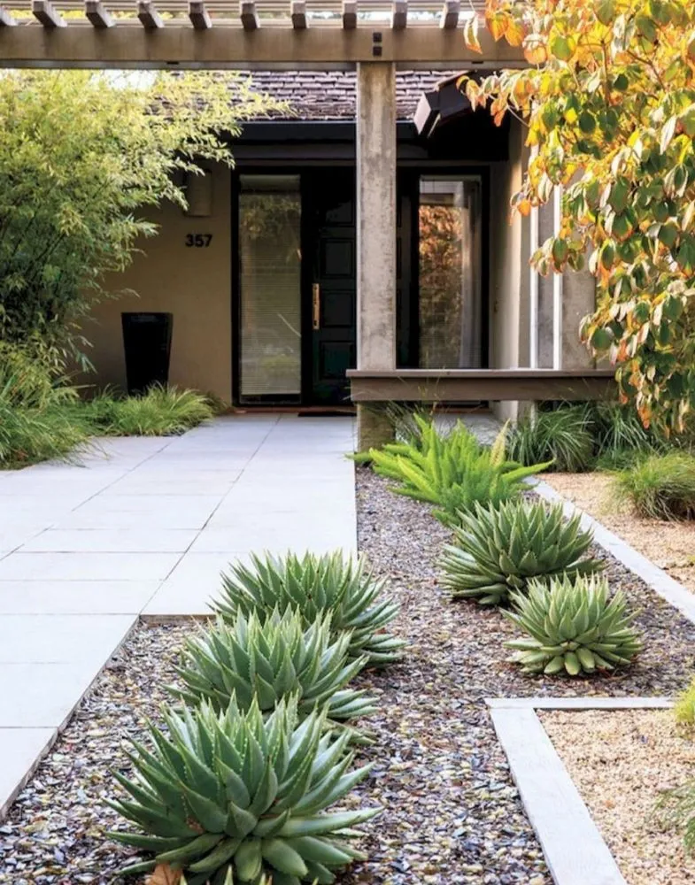 Top-rated lawn care service for beautiful yards in Converse, TX by Bocanegra Landscape And Lawn Services