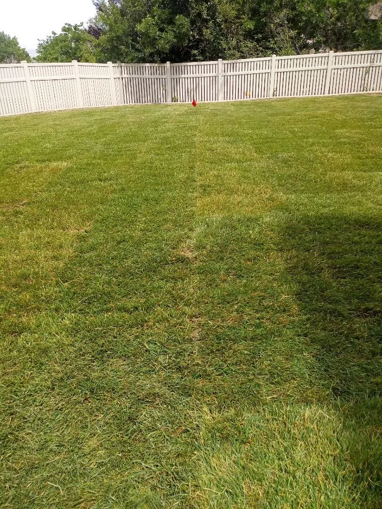 Professional yard cleanup service for homes across Fairview, UT - Bocel Landscaping