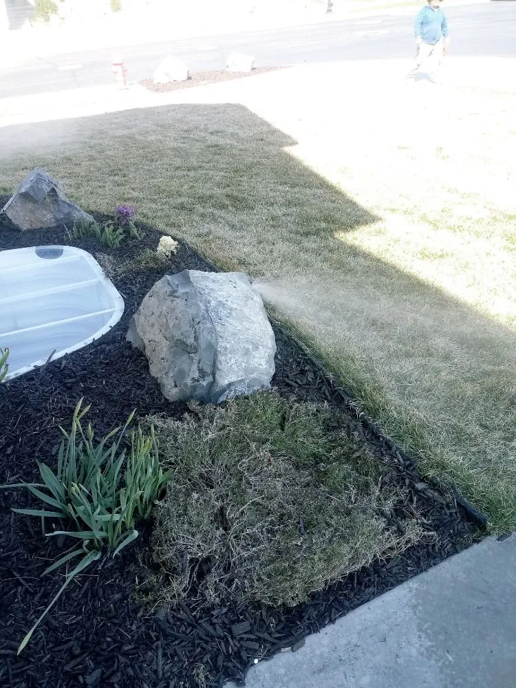 Trusted yard cleanup service experts serving Fairview, UT - Bocel Landscaping