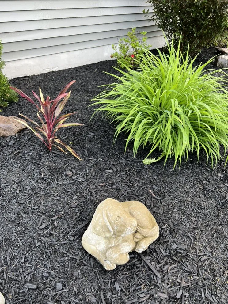 Expert yard maintenance in Cicero, NY by Bochino’s Lawn & Landscaping