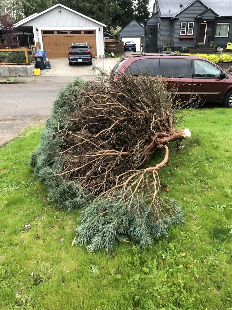 Professional lawn mowing service in Portland, OR - Bocogo