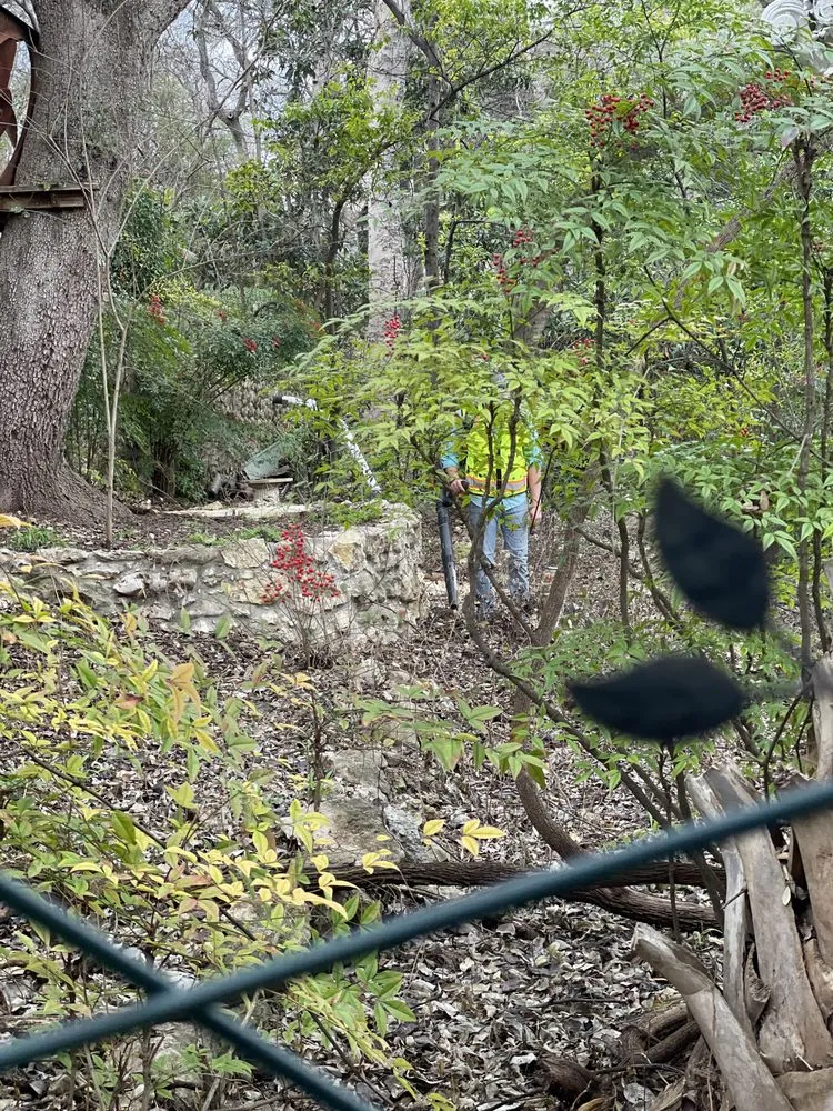 Local landscape installation in Georgetown, TX by Bodden’s Subcontractors